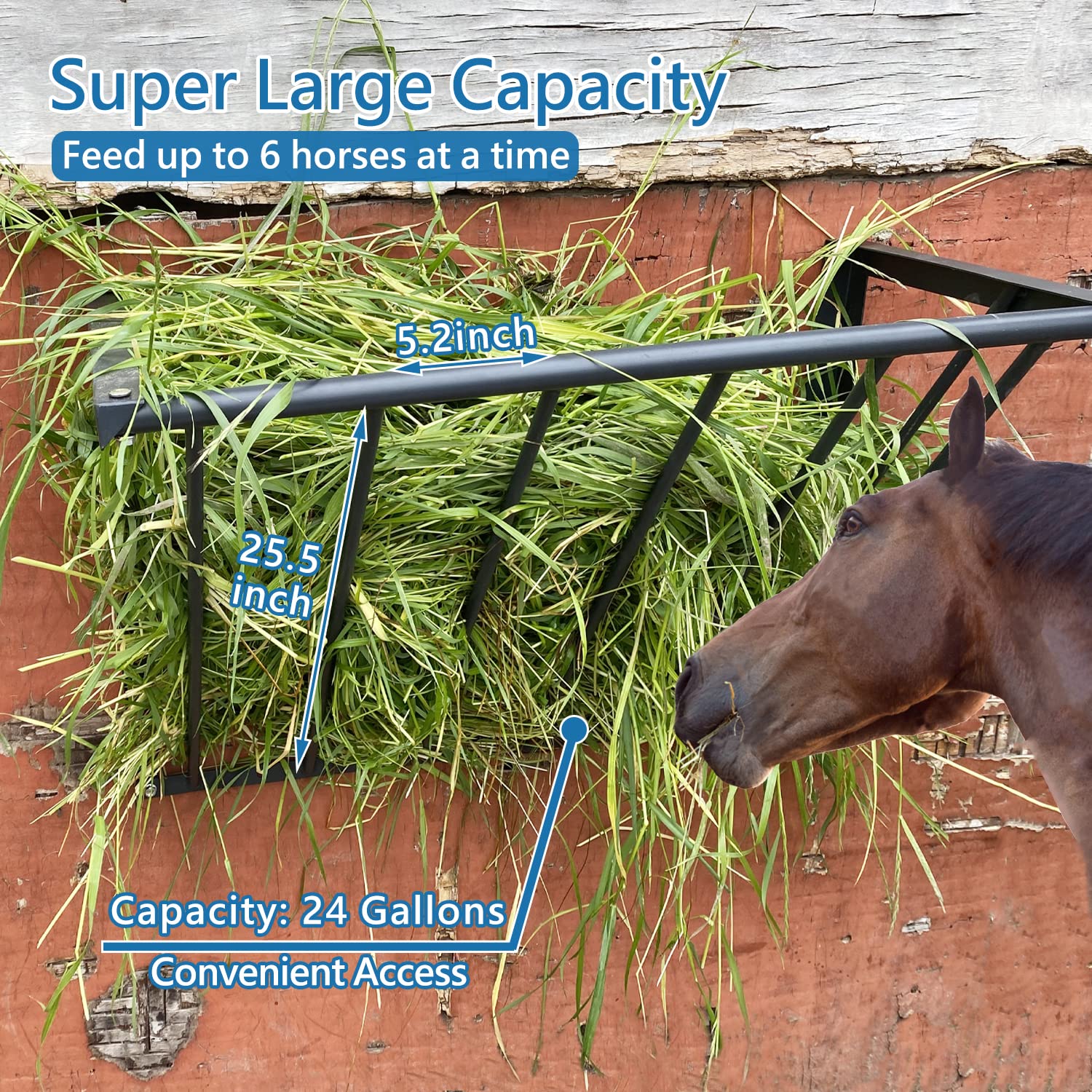 BUYYAH 24-gallon capacity reduces refills during daily feeding