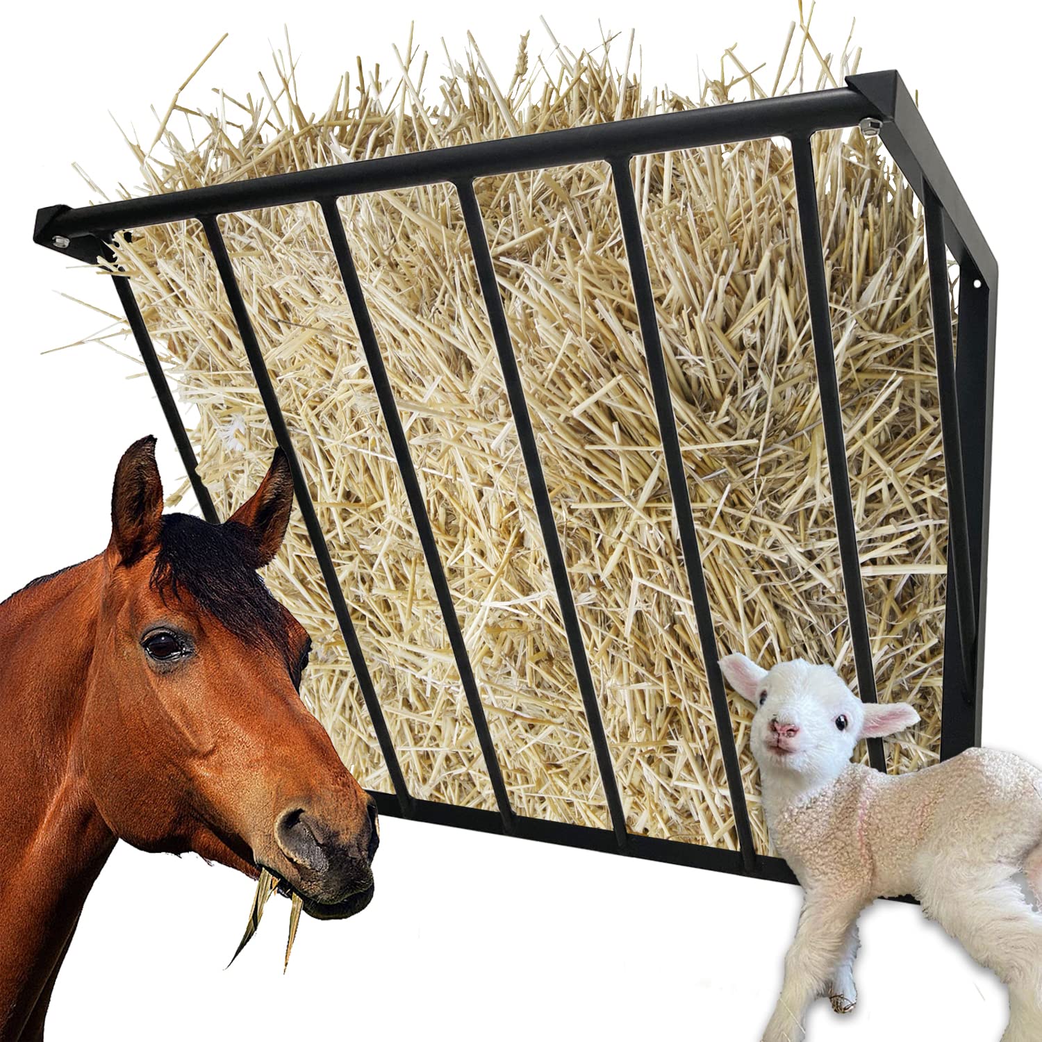 BUYYAH durable carbon steel rack resists deformation during daily farm use