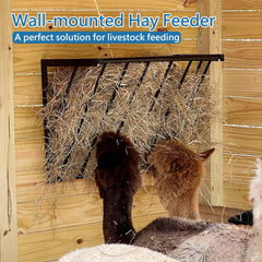 BUYYAH wall-mounted hay rack saves floor space in barns
