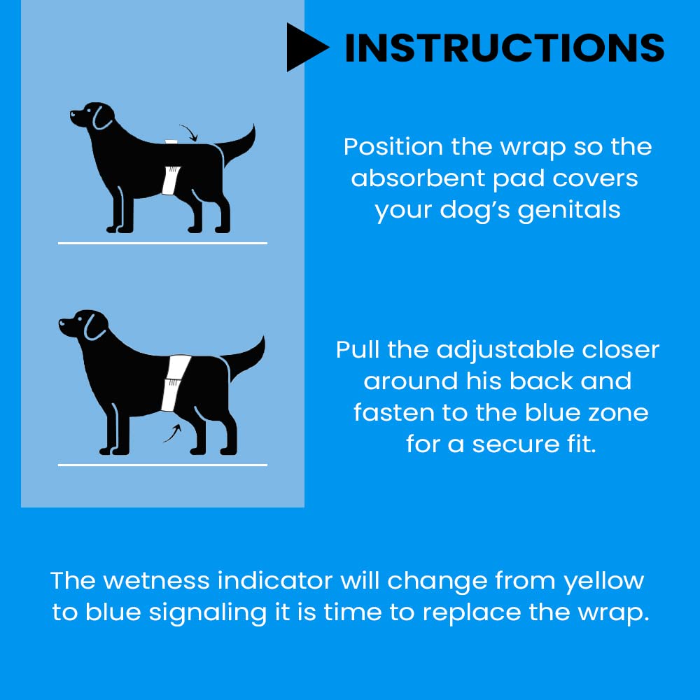BV Dog Diapers Male XS absorbent core provides leak-proof protection