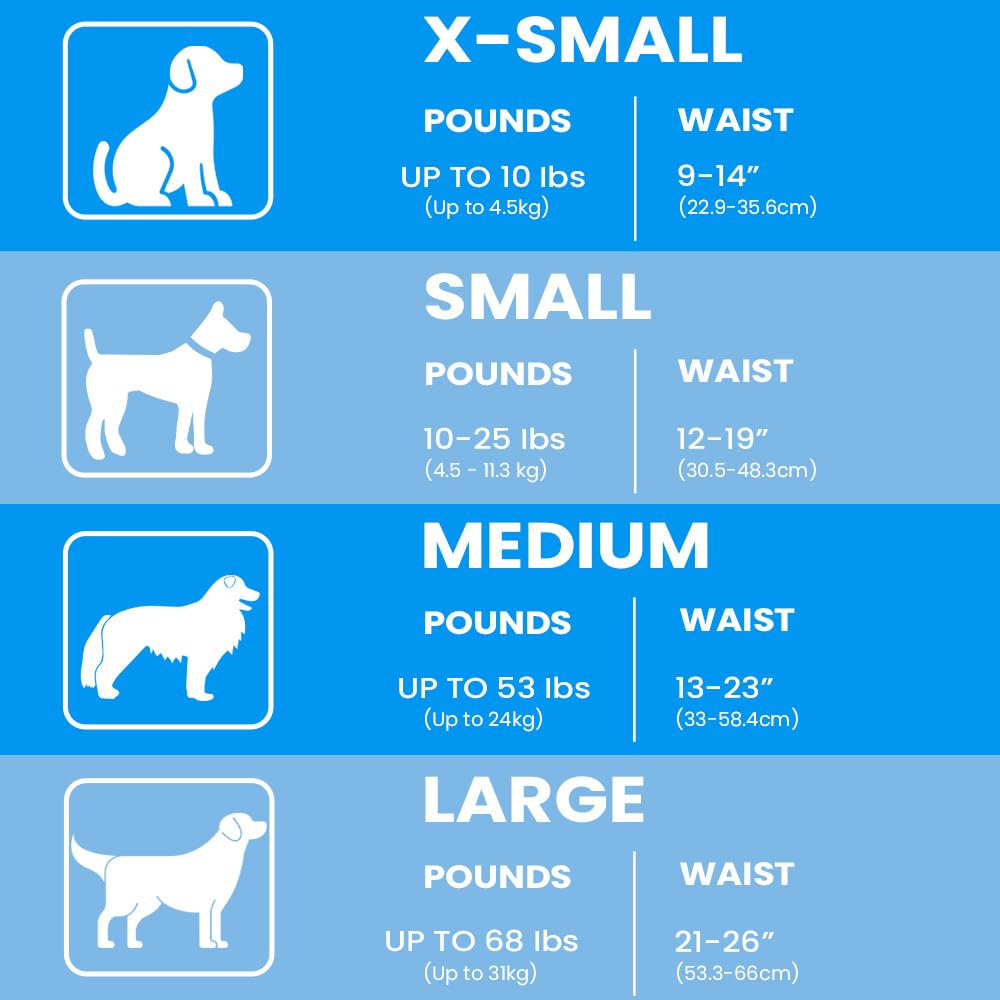BV Dog Diapers Male XS adjustable fit for comfortable customization