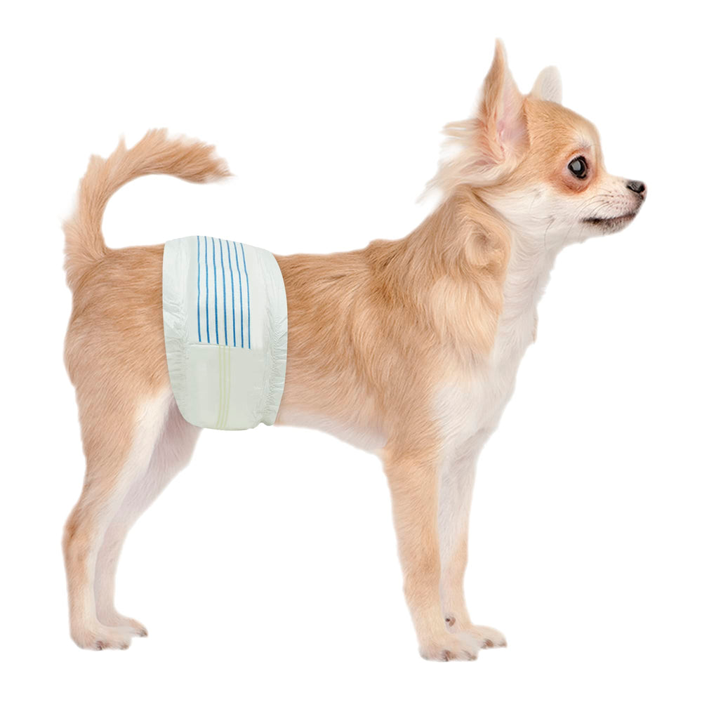 BV Dog Diapers Male XS package shows value and snug fit for small dogs