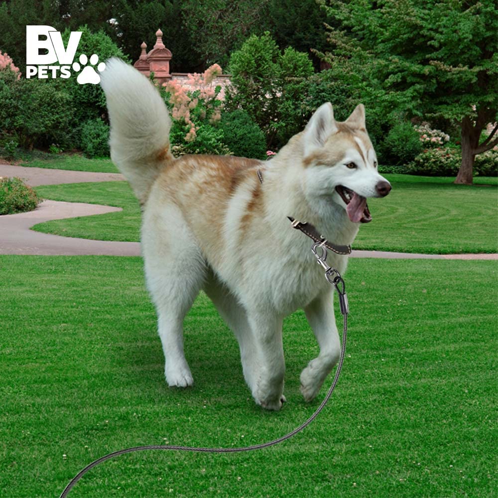 BV Dog Tie Out 25ft for yard use gray highlights easy outdoor containment