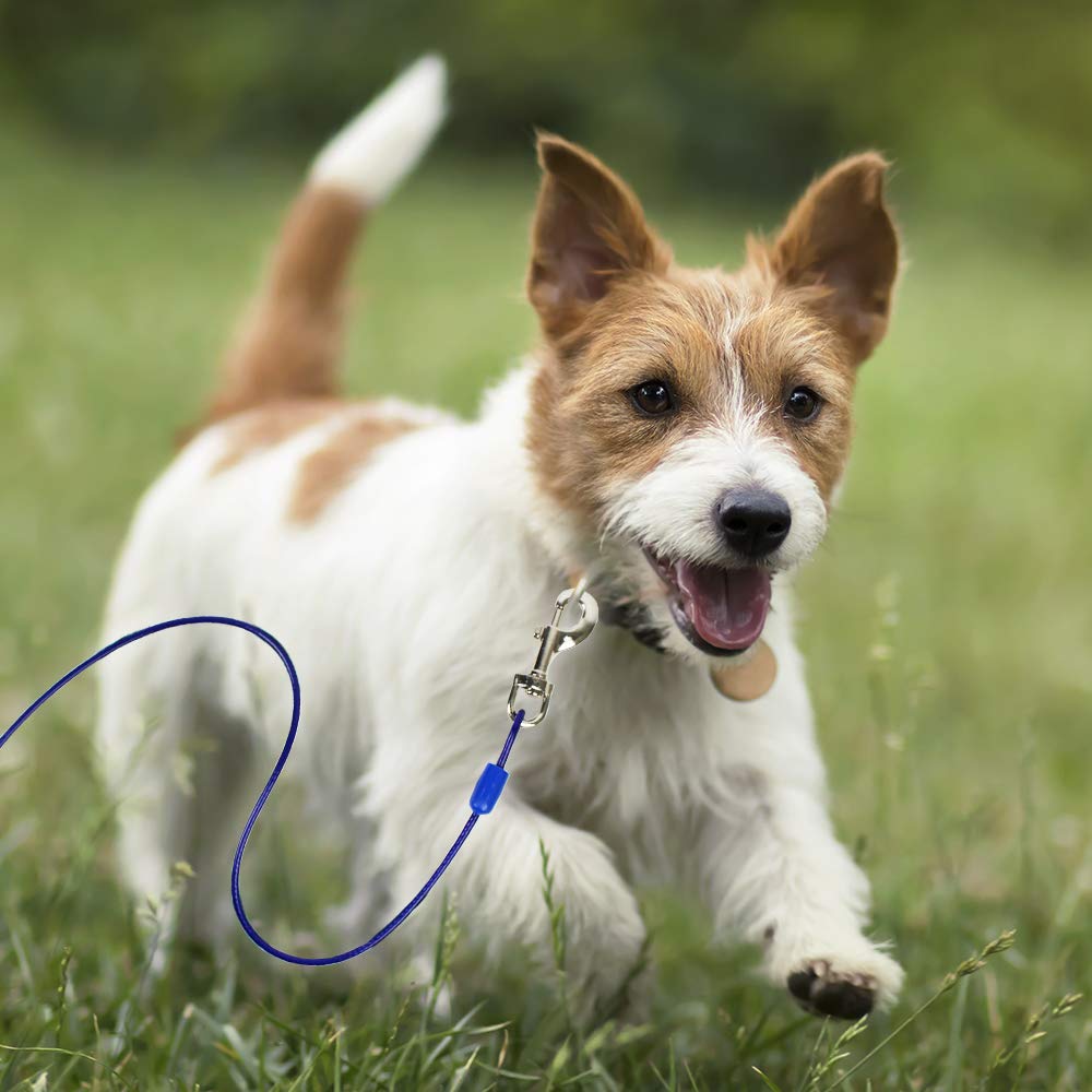 BV Dog Tie Out Cable quick-release clips enable easy detachment.