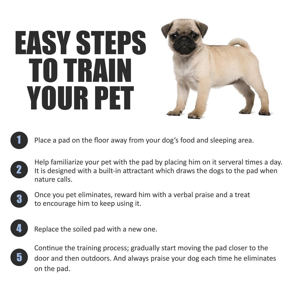 BV Puppy Pads bulk pack ideal for training at home, travel, or indoor use.