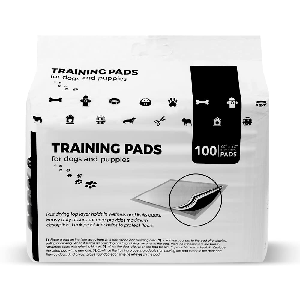 BV Puppy Pads heavy-duty absorption keeps homes dry during long training sessions.