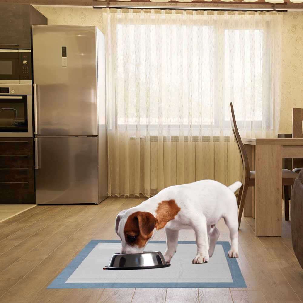 BV Puppy Pads XL indoor use scene shown on floor