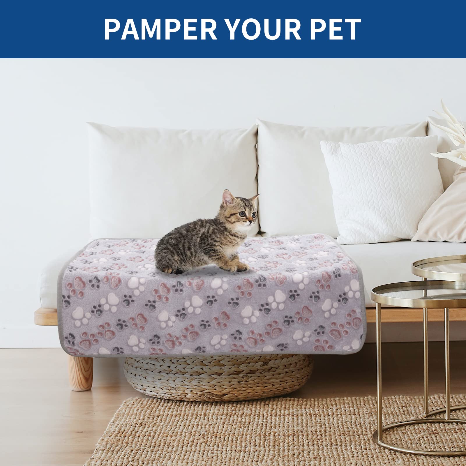 BVAGSS paw print blanket small-size illustrates a tiny pet fit