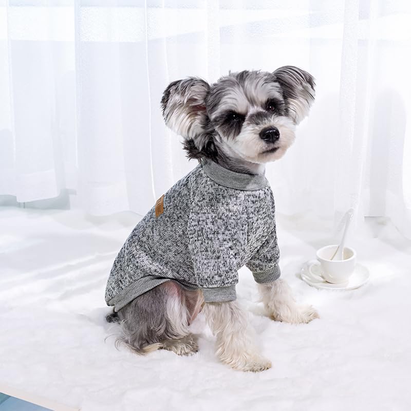 Bwealthest small-dog sweater worn by a pup, showcasing cute snug fit.