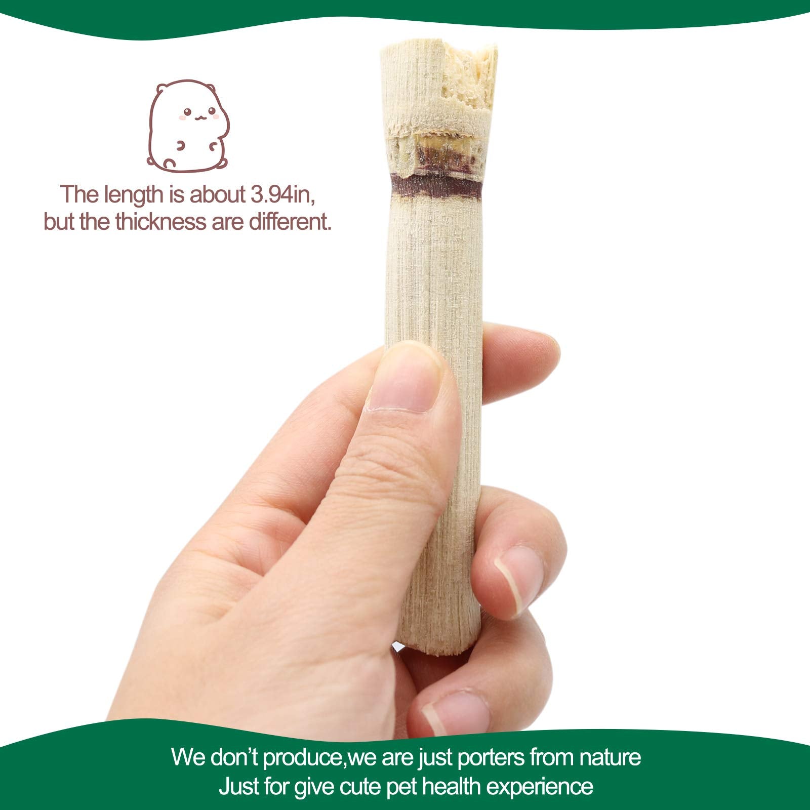BWOGUE 500g bamboo chew pack image highlights value for multi-pet homes.