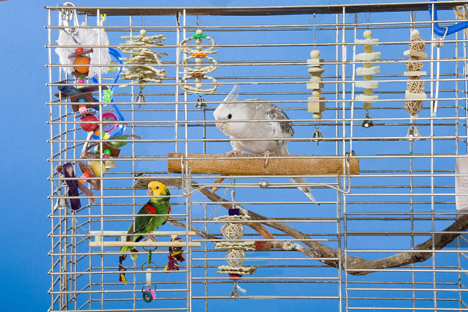 BWOGUE 7 Pack luffa texture stimulates beak care and play.