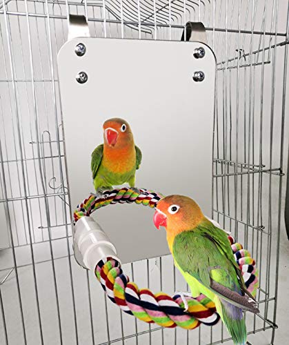 BWOGUE bird mirror with rope perch offers safe, entertaining cage enrichment.