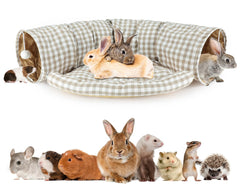 BWOGUE Bunny Tunnel Bed collapsible setup for space-saving storage and on-the-go play.