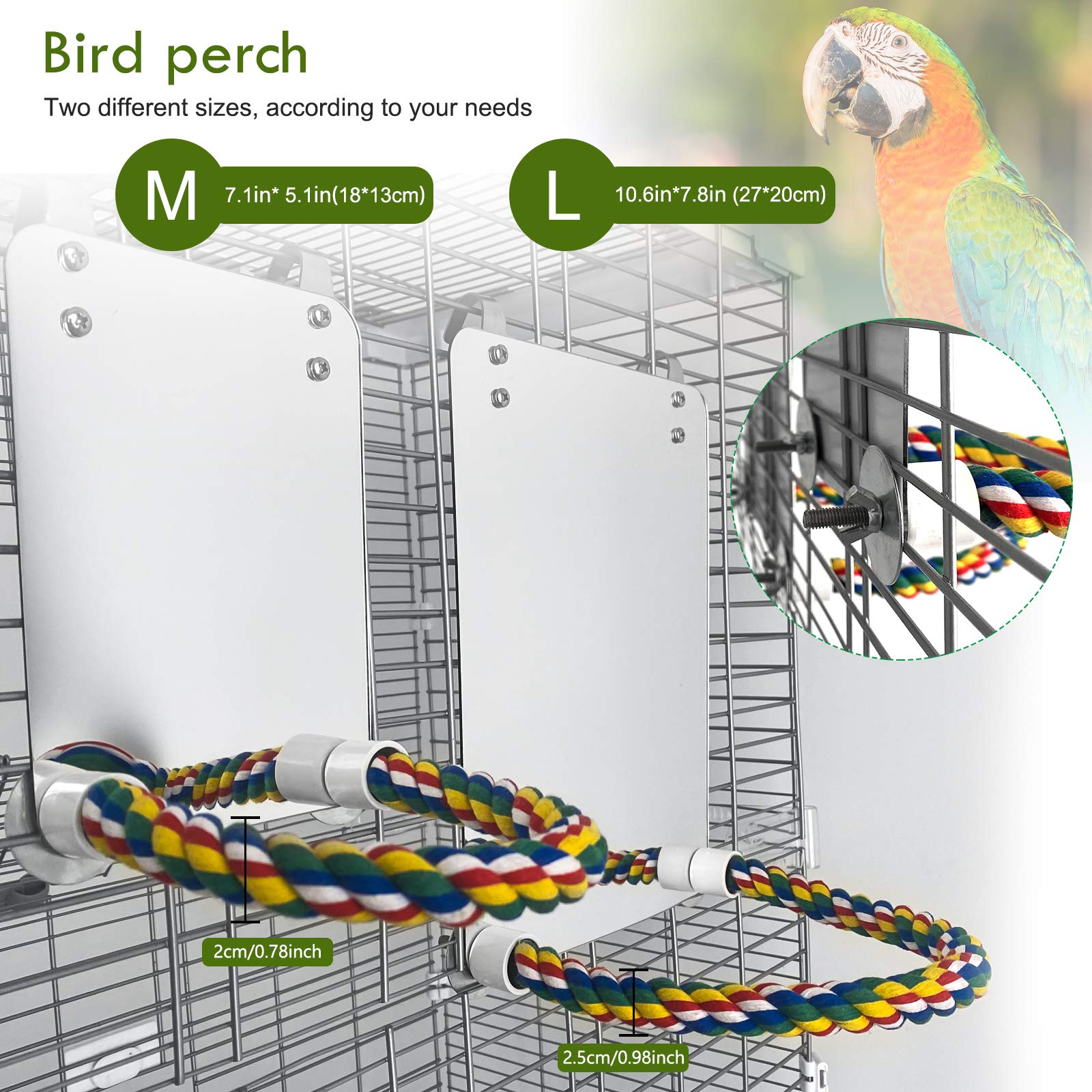 BWOGUE mirror suits small to medium parrots, from parakeets to cockatiels.
