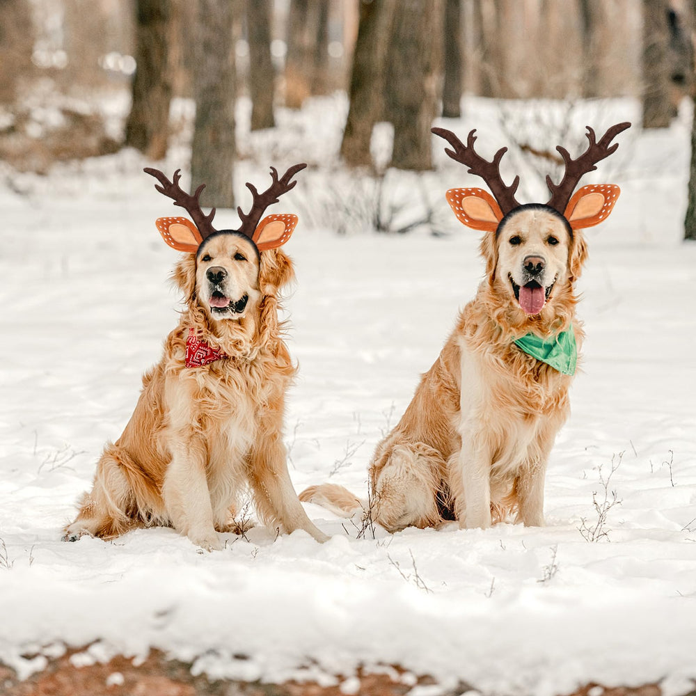 BWOGUE Christmas costume for dogs and cats perfect for holiday celebrations.