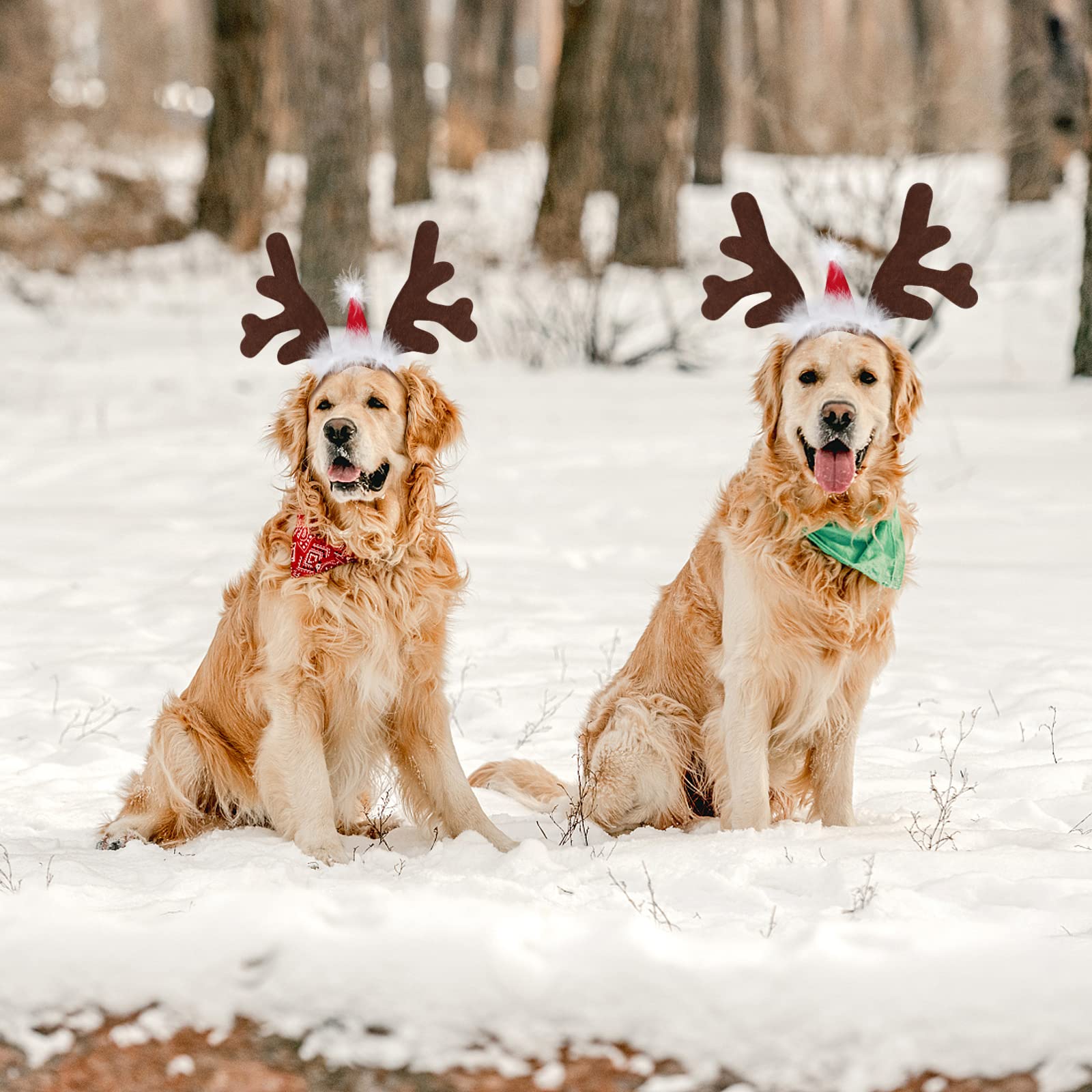 BWOGUE dog-cat holiday headwear suitable for photo shoots and parties.