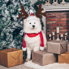 BWOGUE dog elk headband with Santa hat side view highlighting durable antlers