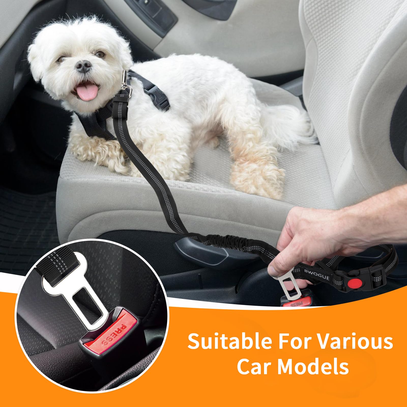 BWOGUE dual-use leash converts to handheld for easy walks