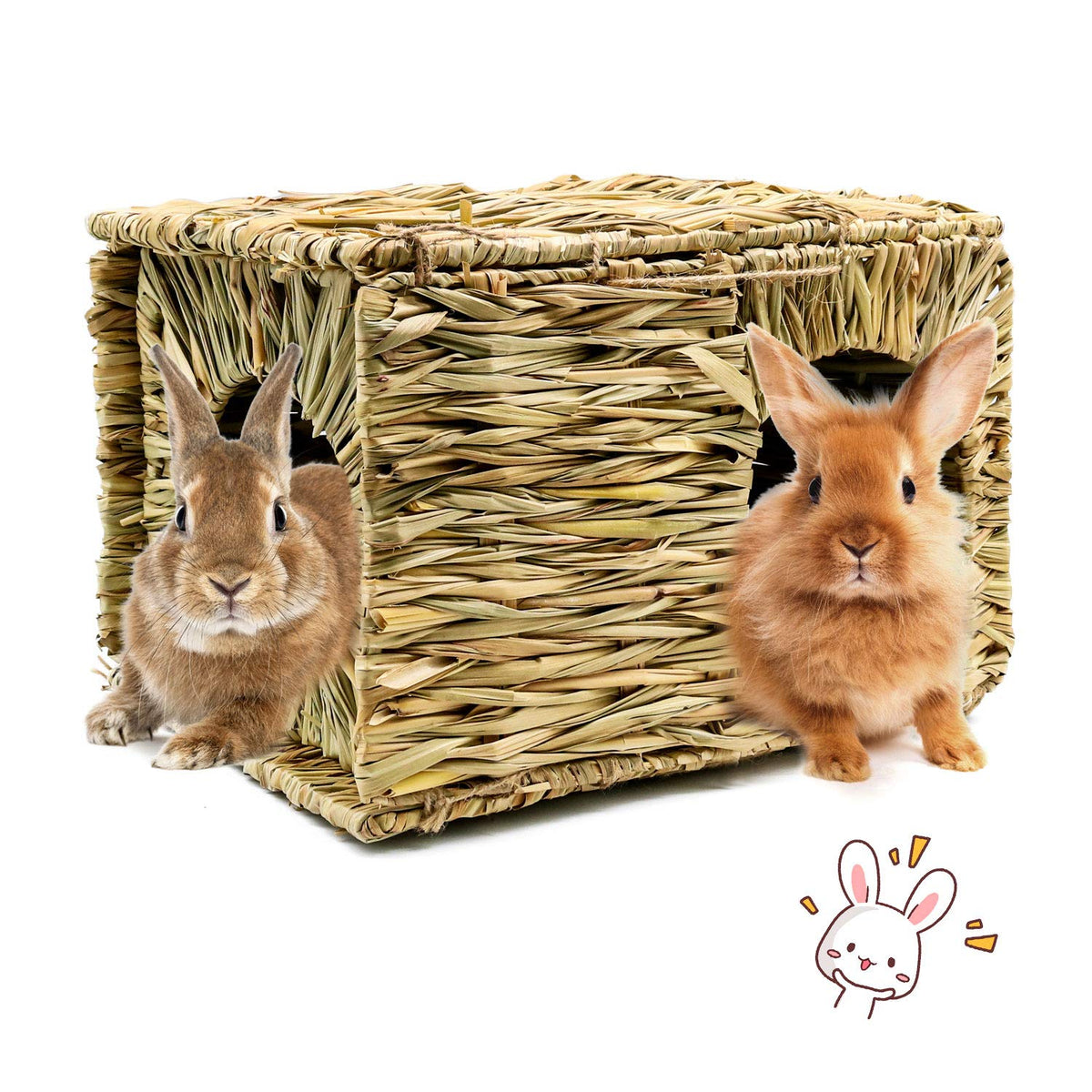 BWOGUE Extra Large Grass House front view showing roomy space for bunny play and nap.