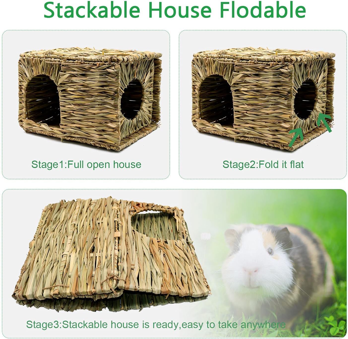 BWOGUE grass house chew-foraging play, encourages exploration and enrichment.