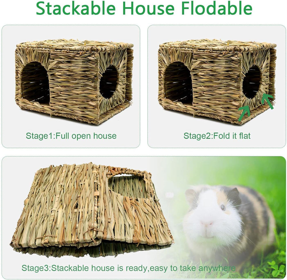BWOGUE grass house chew-foraging play, encourages exploration and enrichment.