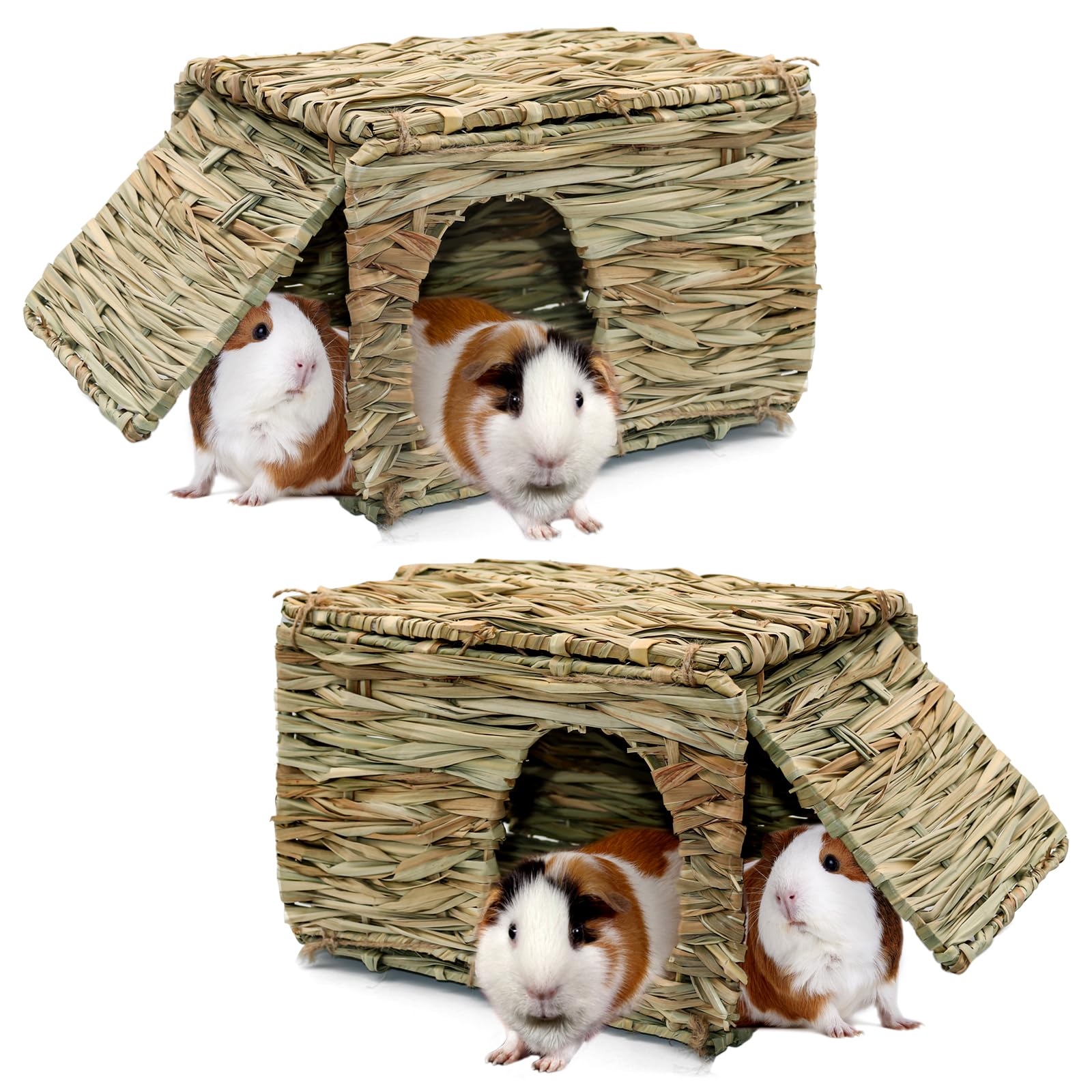 BWOGUE grass house guinea pig inside view, cozy hideaway for play and rest.