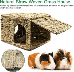 BWOGUE grass house paired pack, two-pack set for multi-pet homes.
