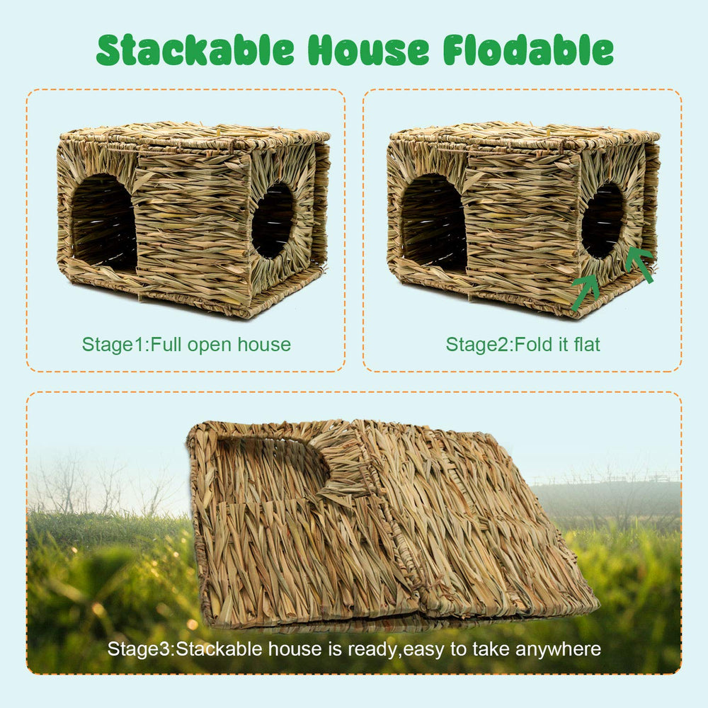 BWOGUE Grass House treasure hunt play boosts foraging.