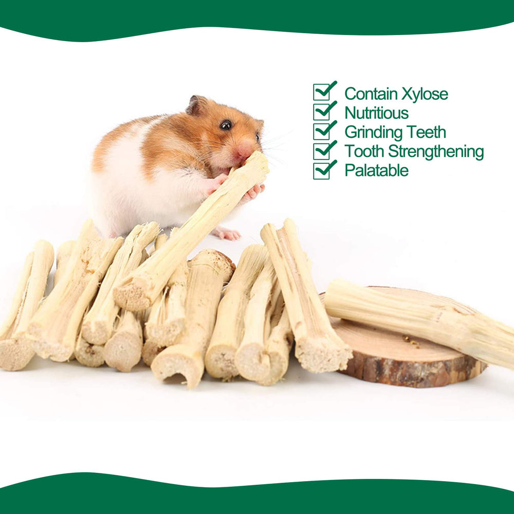 BWOGUE guinea-pigs-teeth-chew image illustrates engaging dental-friendly nibbling.