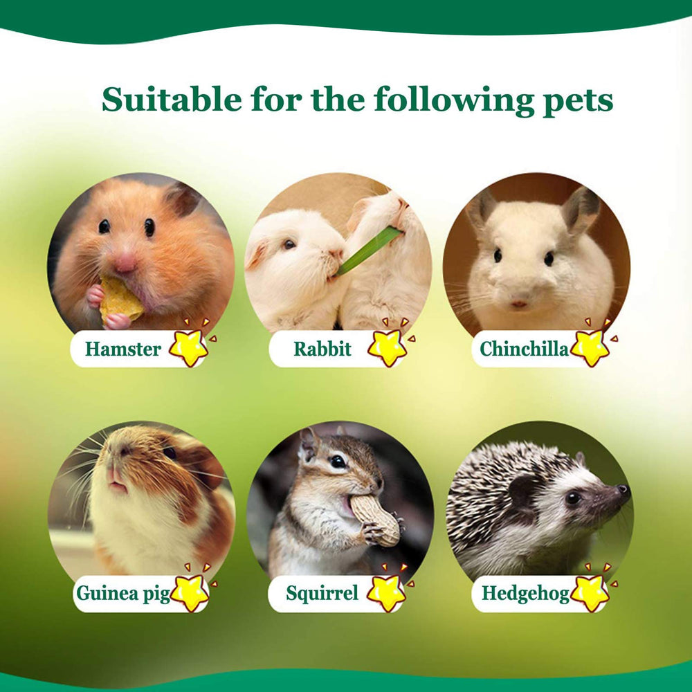 BWOGUE hamster-cage-play-chew photo shows versatile cage-time entertainment.