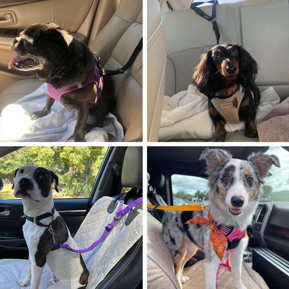 BWOGUE travel-strap compatible with harness for comfortable in-car journeys.