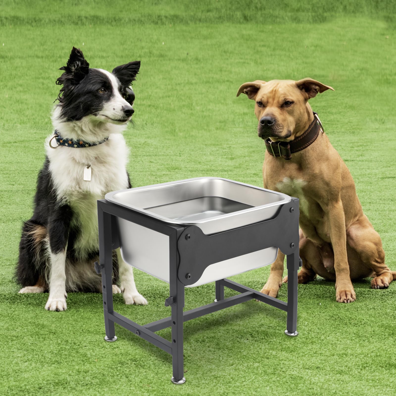 BWOGUE indoor-outdoor use keeps pets hydrated anywhere in the home.