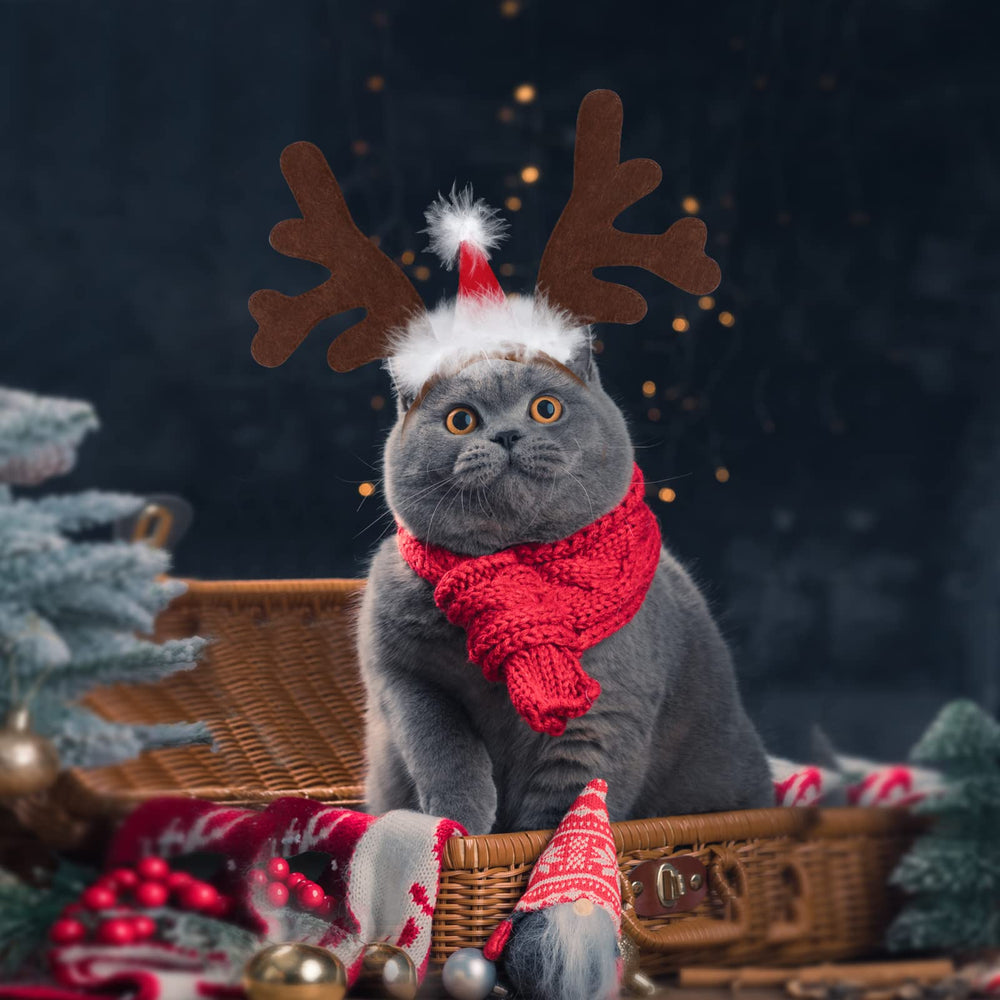 BWOGUE pet Christmas headwear worn comfortably on small pets