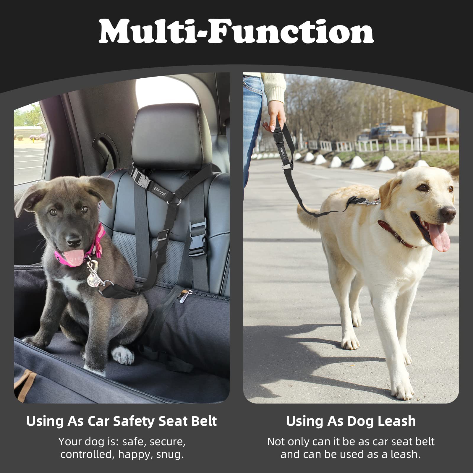 BWOGUE pet-safety-strap easily secures pets to tree or post when needed.