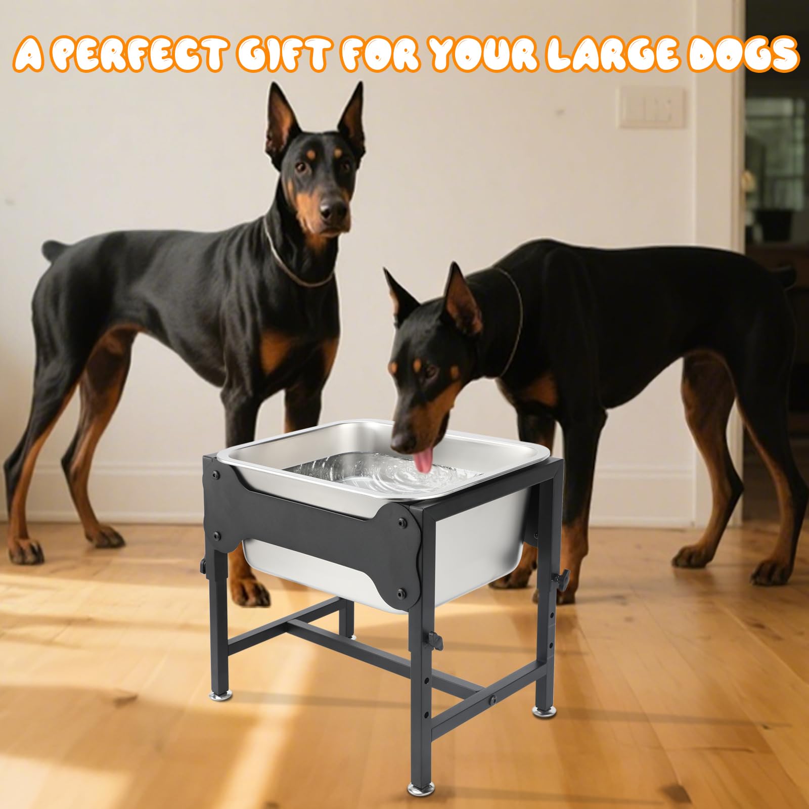 BWOGUE quick-installation dog water solution with four-height options.