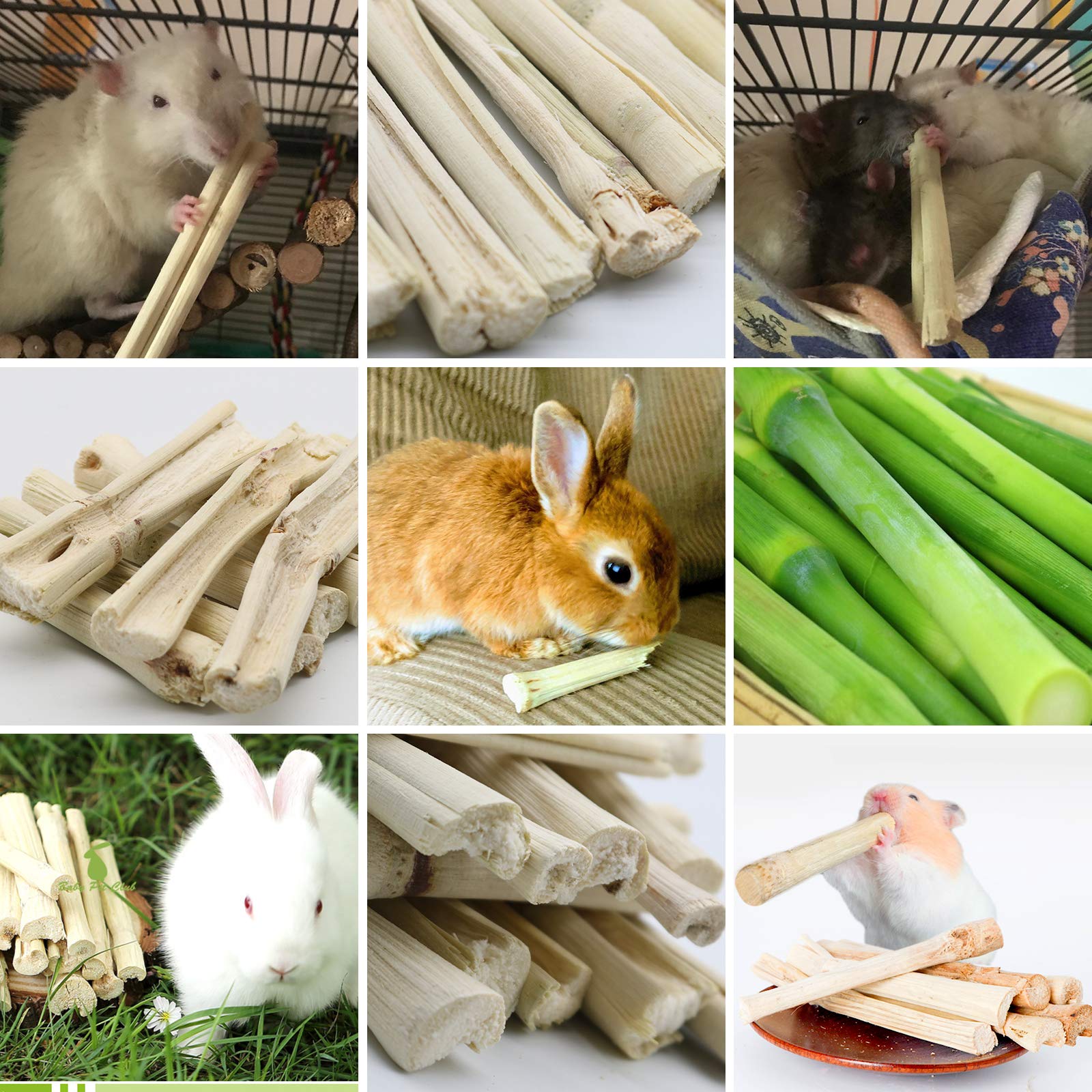 BWOGUE rabbits-chewing-bamboo-chew closeup captures satisfying nibble and boredom relief.