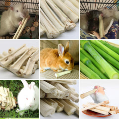 BWOGUE rabbits-chewing-bamboo-chew closeup captures satisfying nibble and boredom relief.