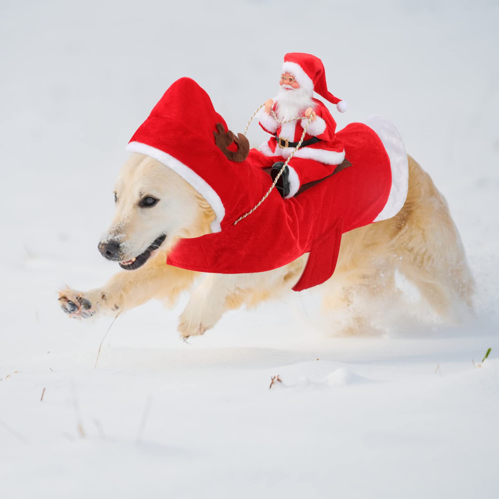 BWOGUE Santa Dog Costume during Christmas family photo session