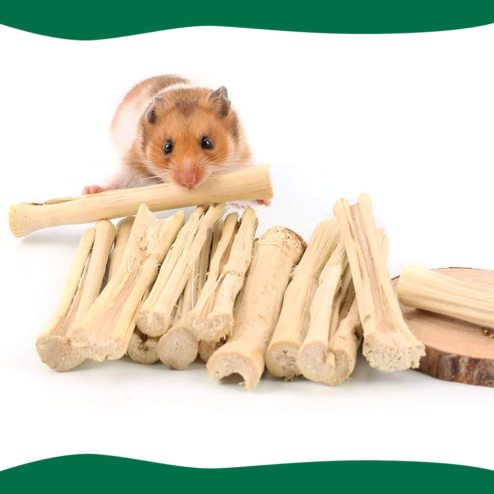 BWOGUE squirrel-bamboo-chew-sticks action shot highlights natural gnawing outlet.