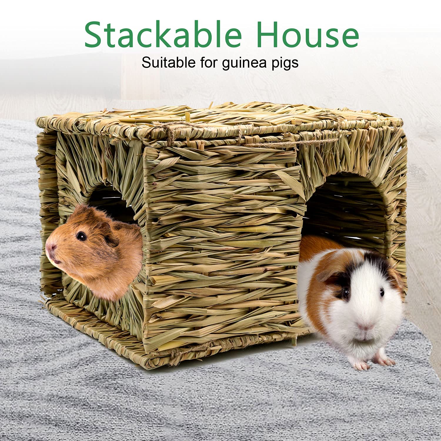 BWOGUE treasure hunt pet activity setup showing treat-foraging enrichment