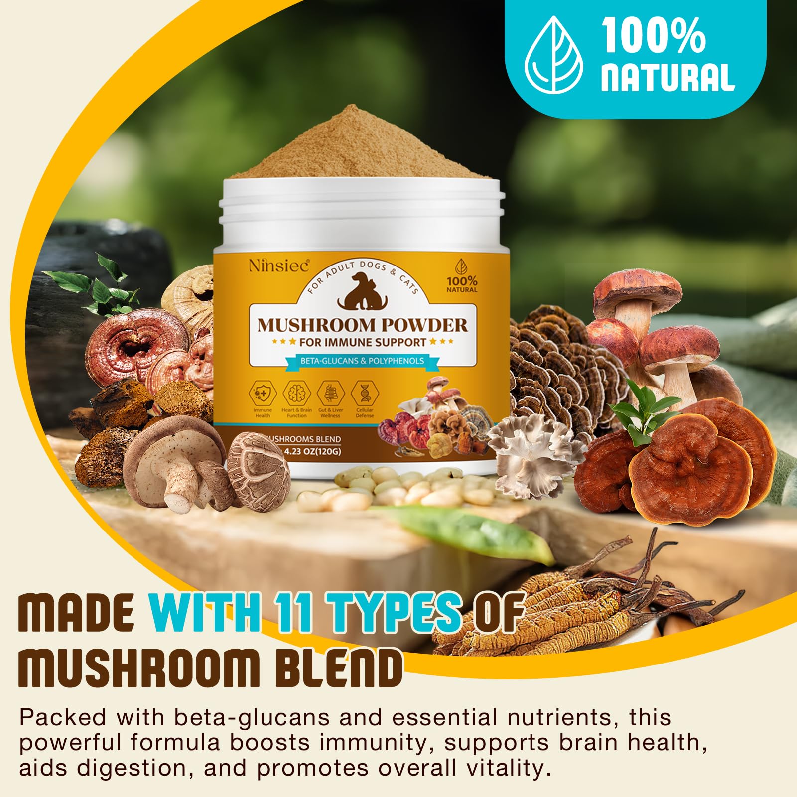 BXRUIAGN 11-mushroom complex label close-up—highlights key ingredients for skin and immunity.