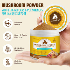 BXRUIAGN spoon-dispensing powder into pet food—easy daily dosing.