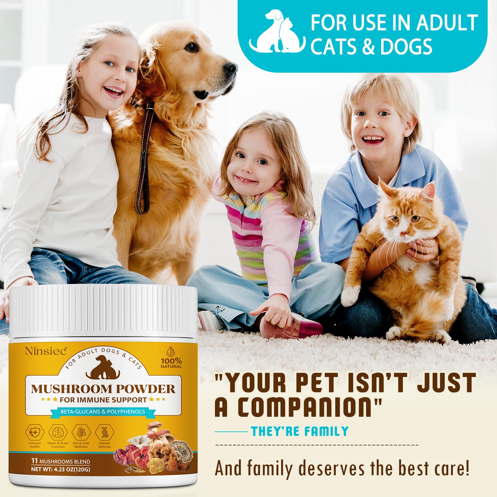 BXRUIAGN senior-pets serving powder—gentle daily use for older animals.