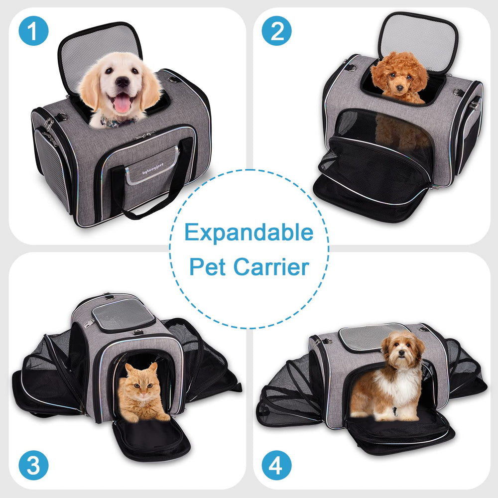 Bytaoqipet carrier with explosion-proof zipper for secure travel