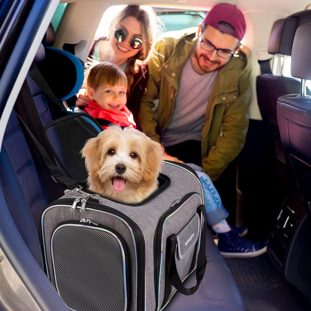 Bytaoqipet under-seat carrier with mesh ventilation for airflow
