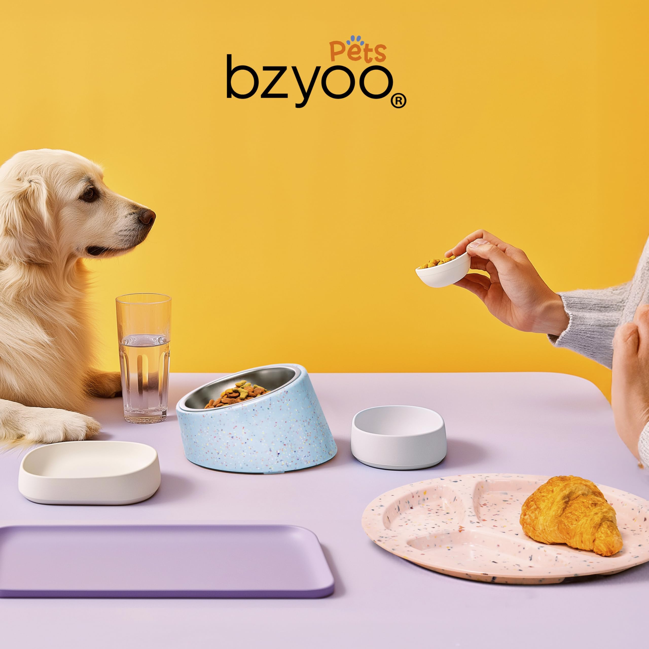 Bzyoo 16oz capacity suits dry, wet food and water