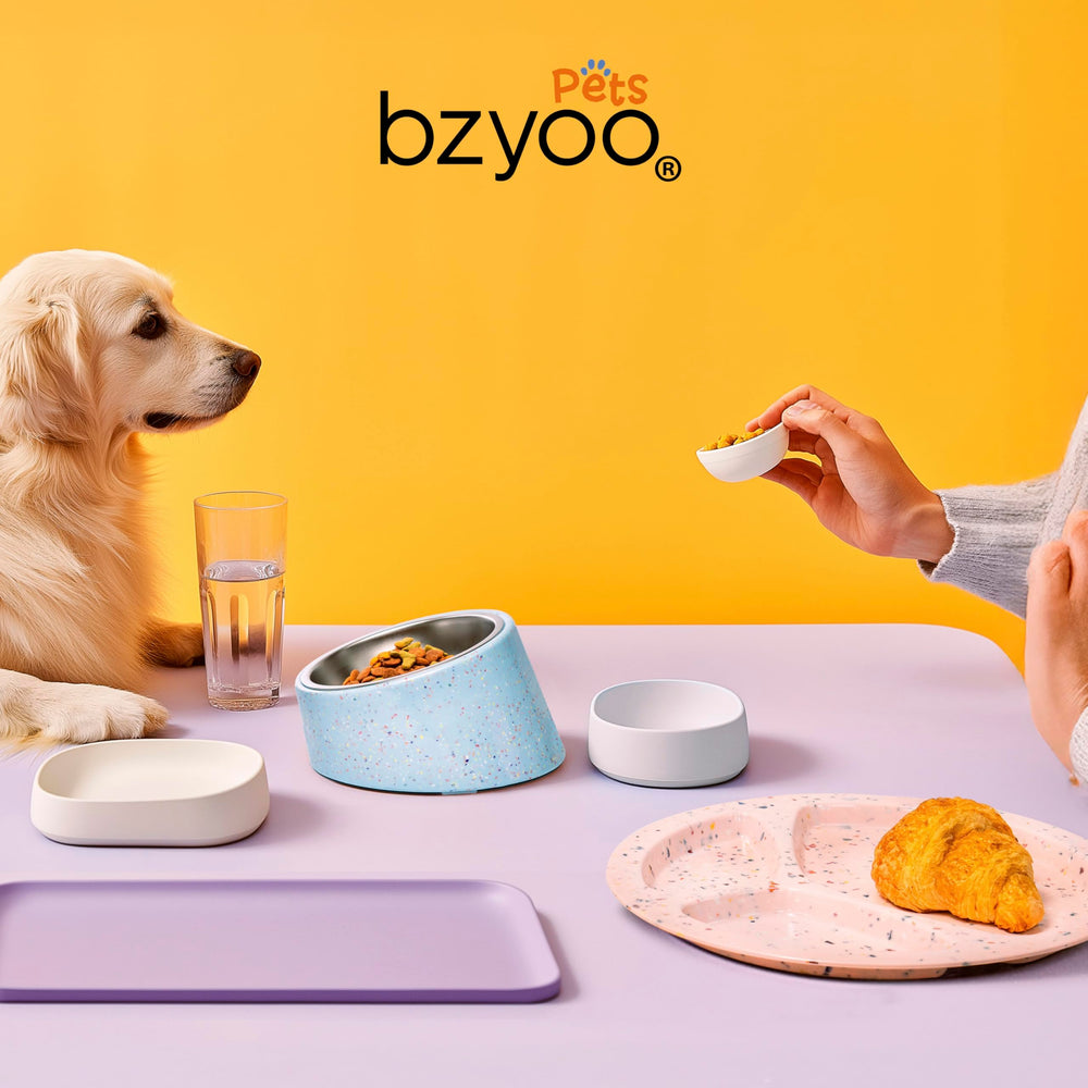 Bzyoo 16oz capacity suits dry, wet food and water