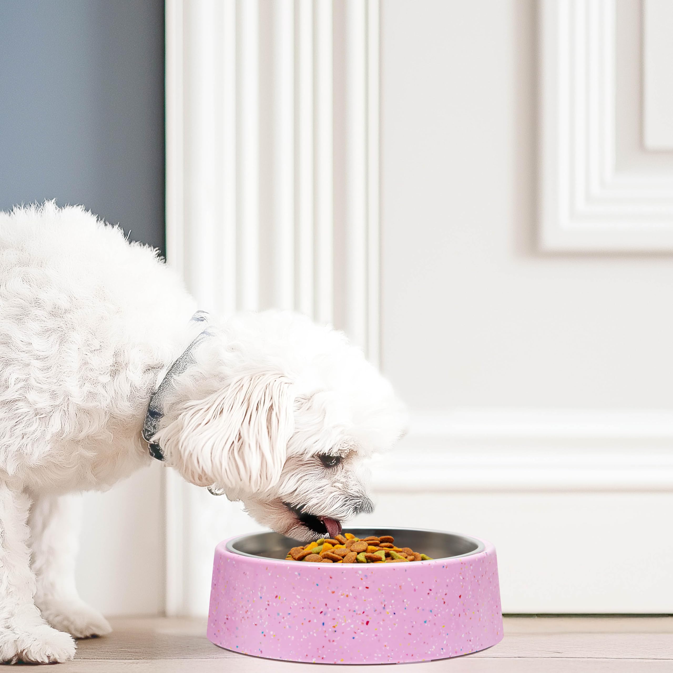 bzyoo 32oz capacity supports balanced meals for medium pets