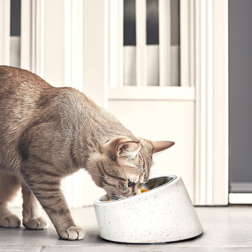 Bzyoo blue sprinkle pattern outer bowl adds modern pet-area style