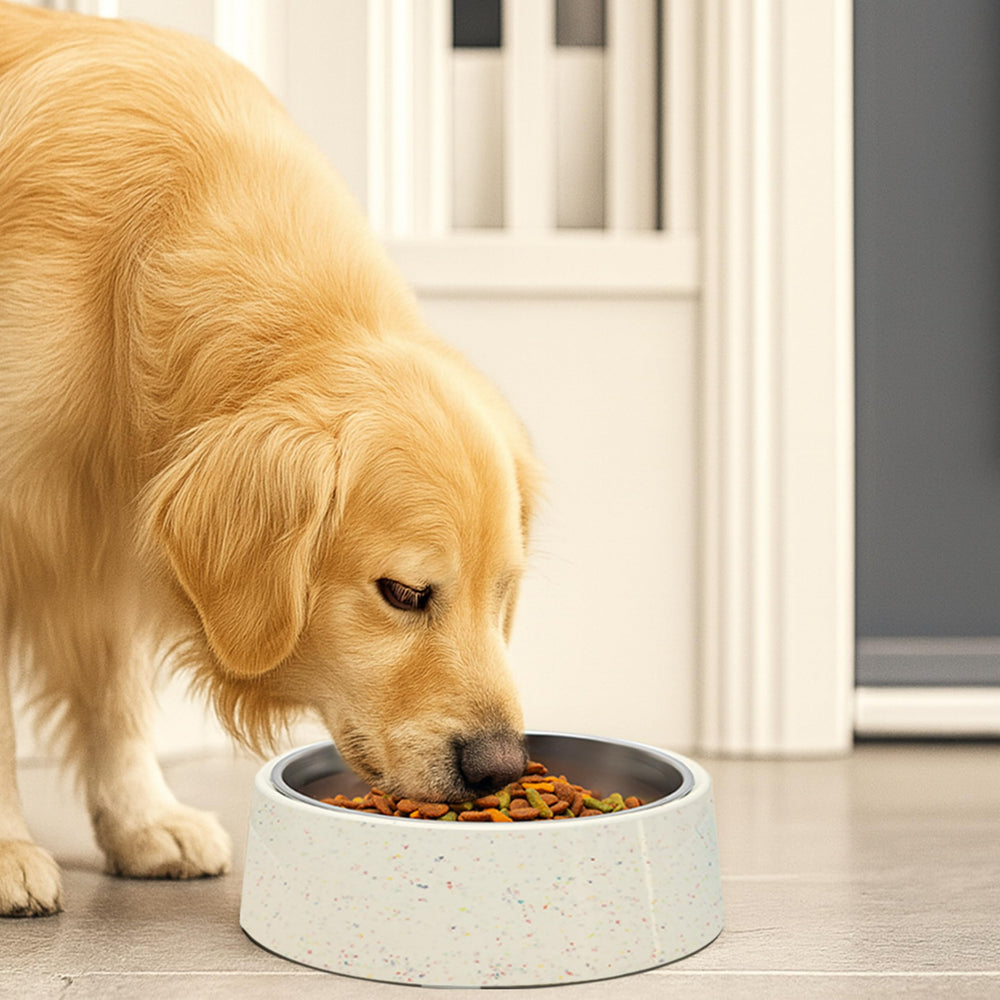 The bzyoo dishwasher-safe blue bowl simplifies cleanup after meals.